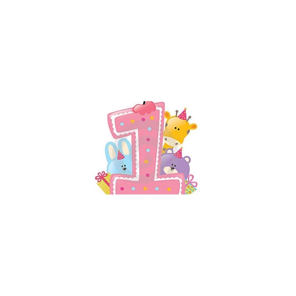 Mon 1er Anniversaire Fille La Ptite Grenouille Mon 1er Anniversaire Fille La Ptite Grenouille