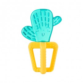 Anneau de dentition Fresh Relax Cactus 4m+ - Chicco