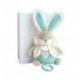 ADOU0072-DC3493-1 lapin de sucre cover