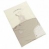 cover22306-32281
